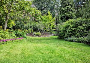 Optimiser l'expérience du jardin à Templeux-le-Guerard